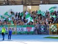 Stal Mielec - Radomiak Radom