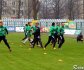 Stal Stalowa Wola - Radomiak Radom