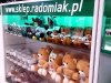 Gadżety Radomiaka na Mikołajki! Zielona Wyspa zaprasza!