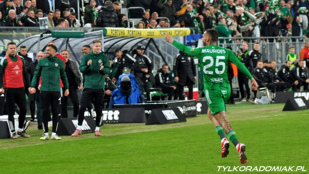 Połowa główek Mauridesa